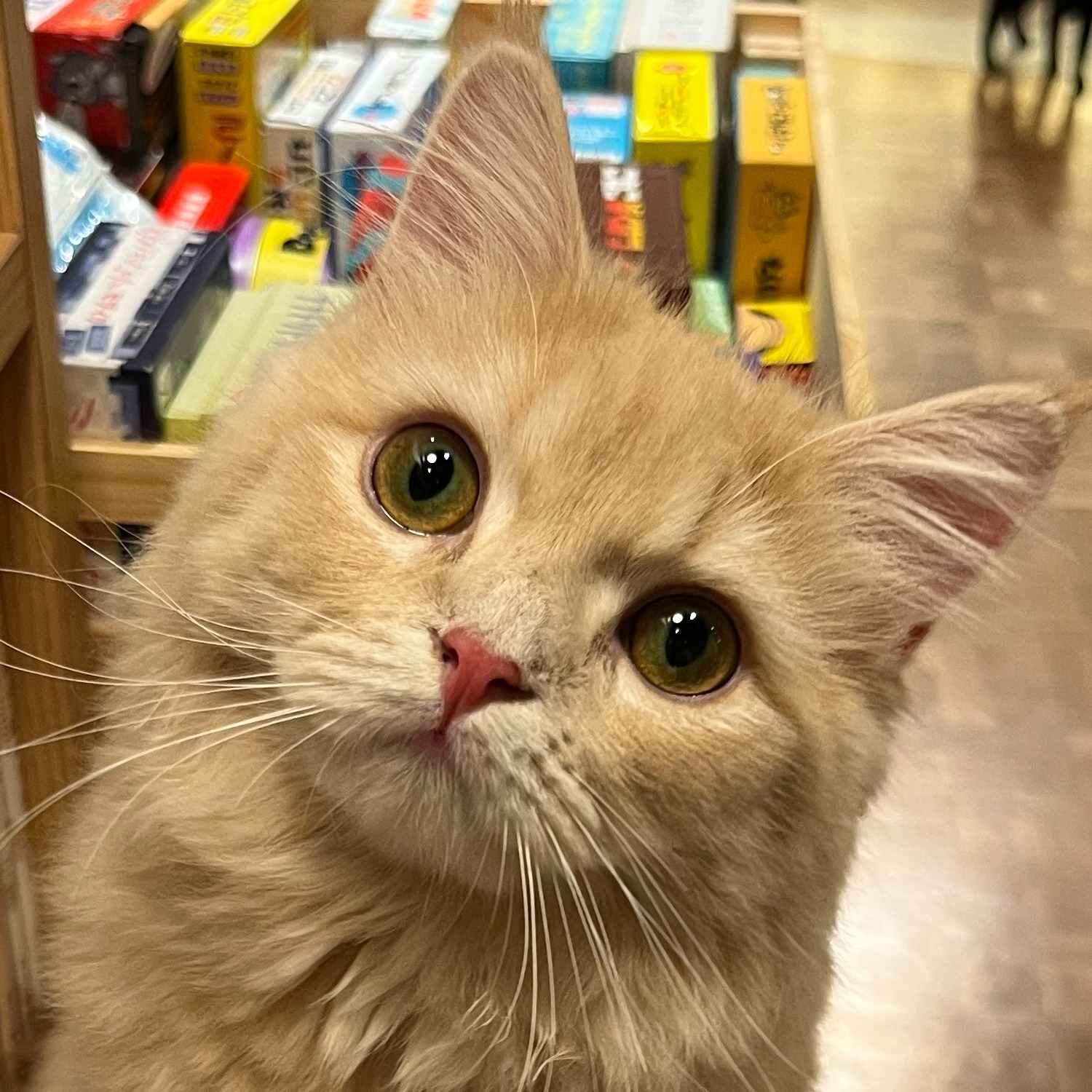 ぽわ